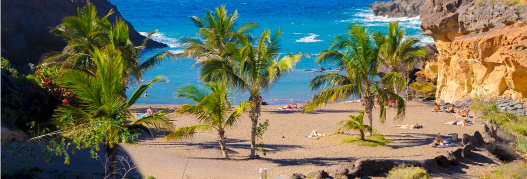 Palmen am Strand von Lanzarote.